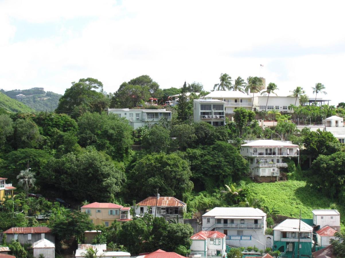 The Green Iguana Hotel Charlotte Amalie Extérieur photo
