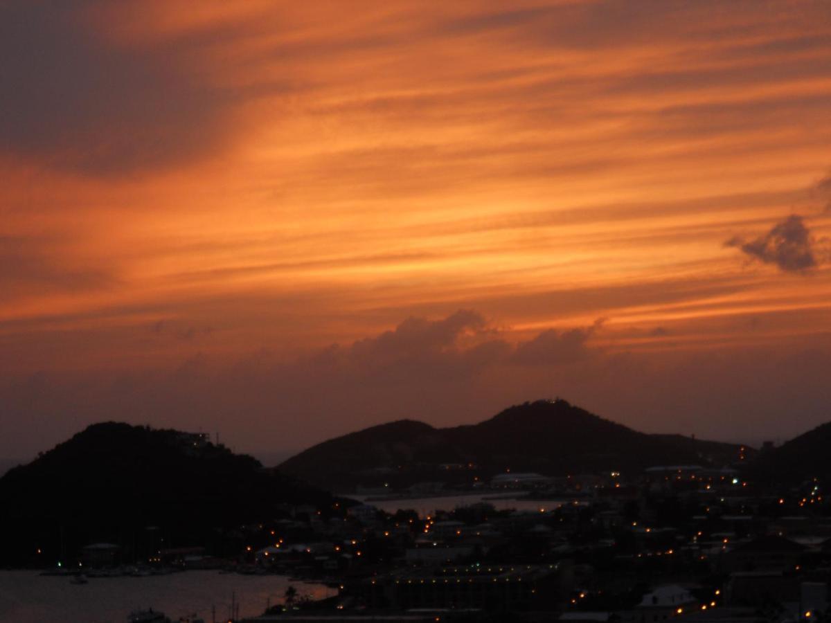 The Green Iguana Hotel Charlotte Amalie Extérieur photo