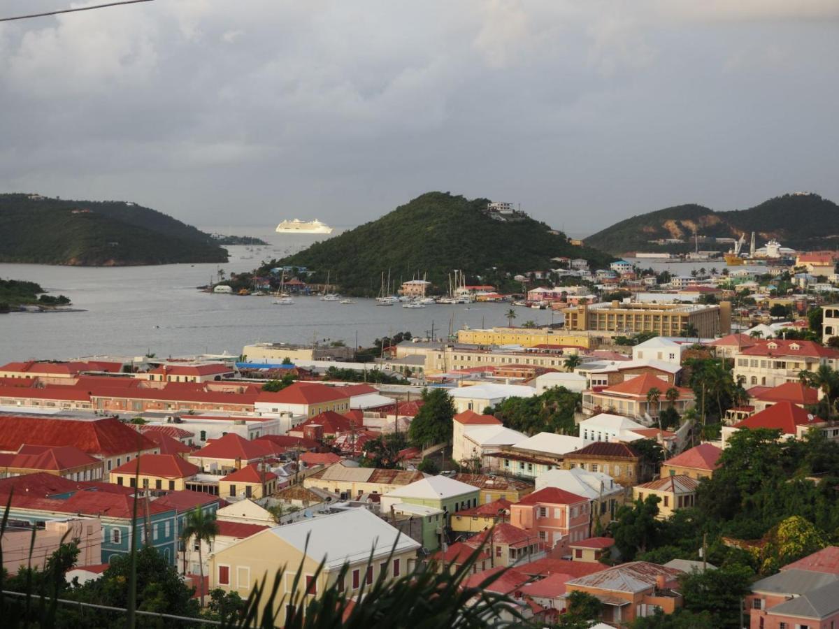 The Green Iguana Hotel Charlotte Amalie Extérieur photo