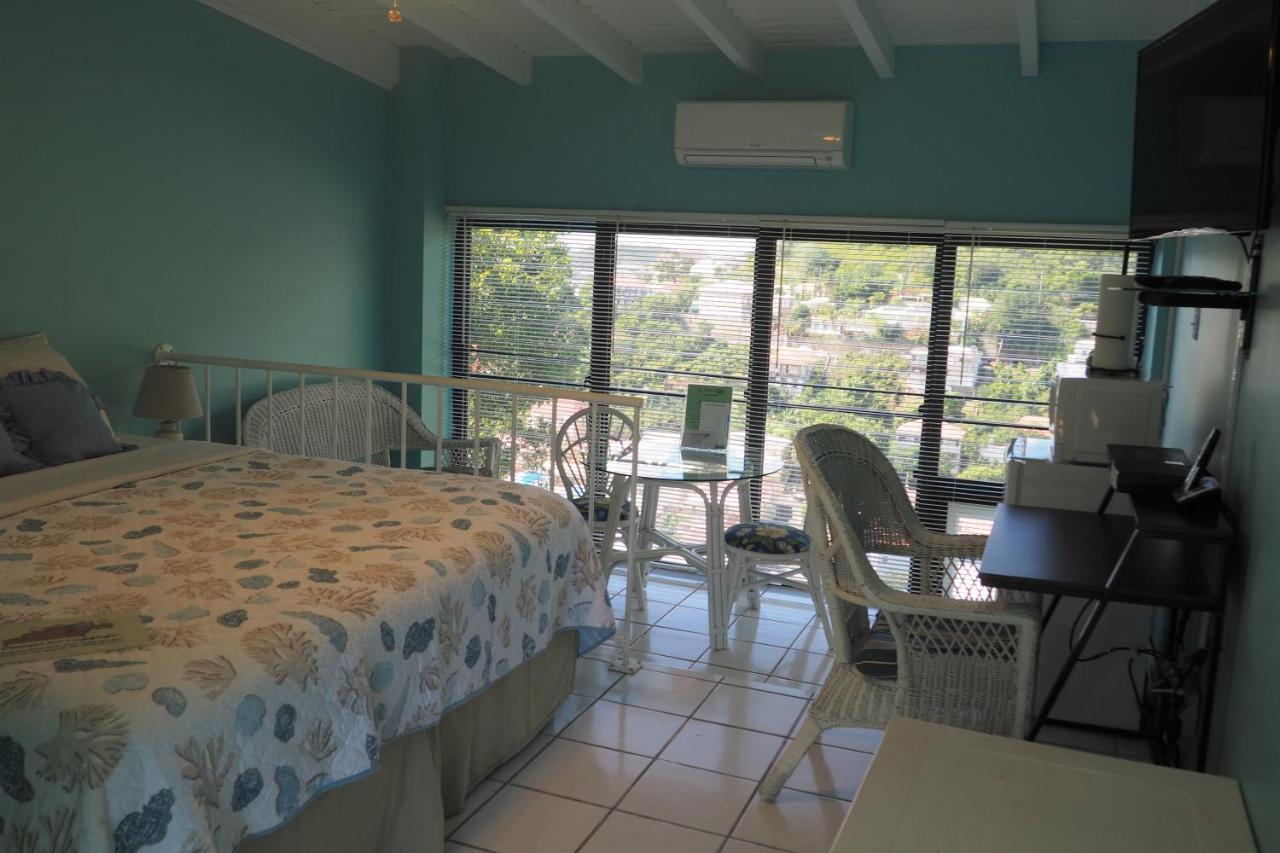 The Green Iguana Hotel Charlotte Amalie Extérieur photo