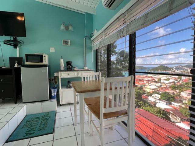 The Green Iguana Hotel Charlotte Amalie Extérieur photo