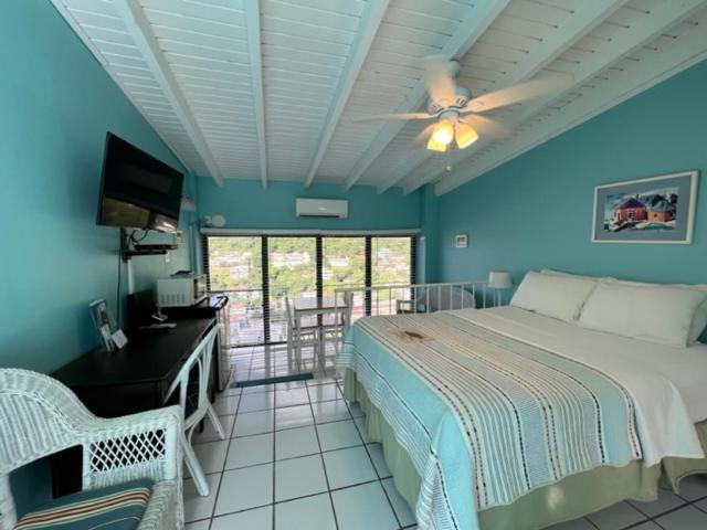 The Green Iguana Hotel Charlotte Amalie Extérieur photo