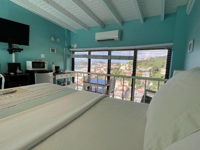 The Green Iguana Hotel Charlotte Amalie Extérieur photo