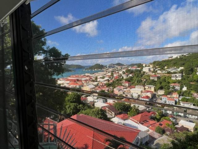 The Green Iguana Hotel Charlotte Amalie Extérieur photo